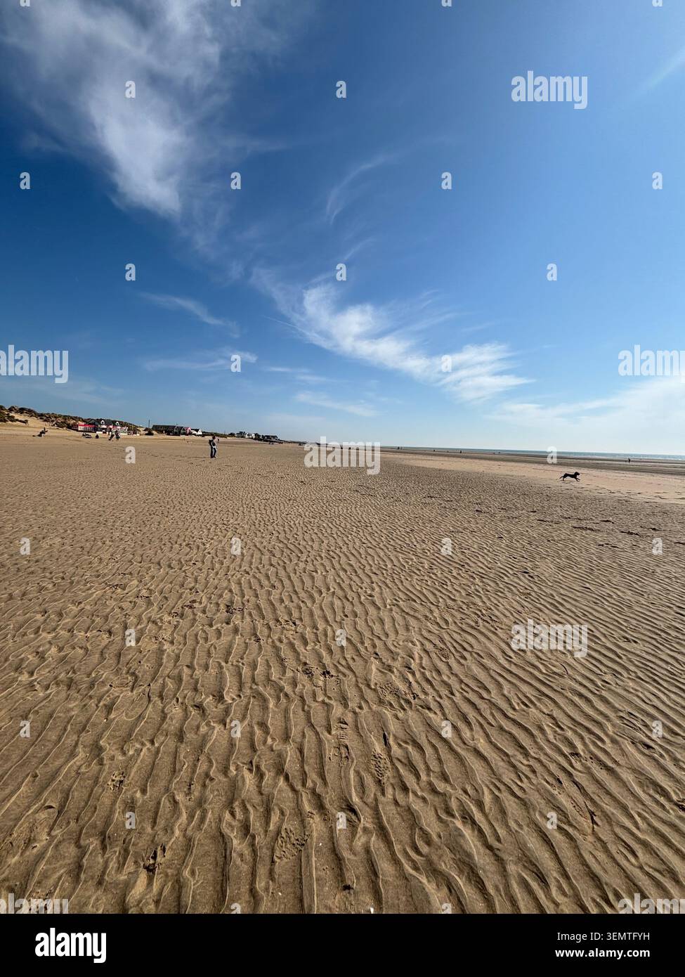 Breiter Sandstrand in Camber Sands in der Nähe von Rye, East Sussex, England, mit Strandgängern, einem Hund und dramatischen Wolken über den englischen Coas - Smartphone-aufgenommenes Stockfoto