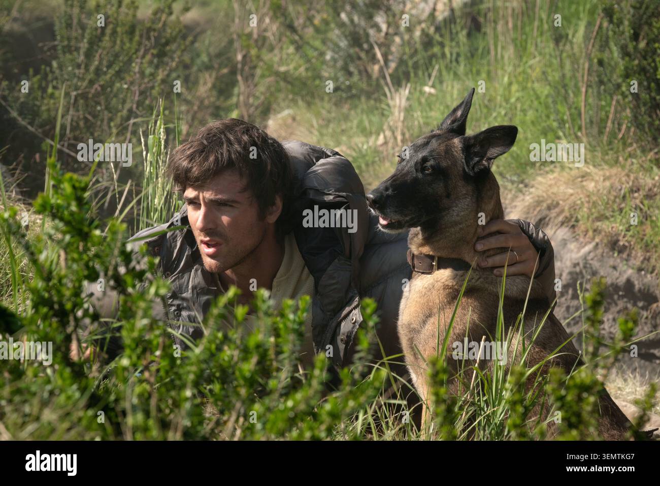 Der Hund Ist Jacob Elordi Stockfoto