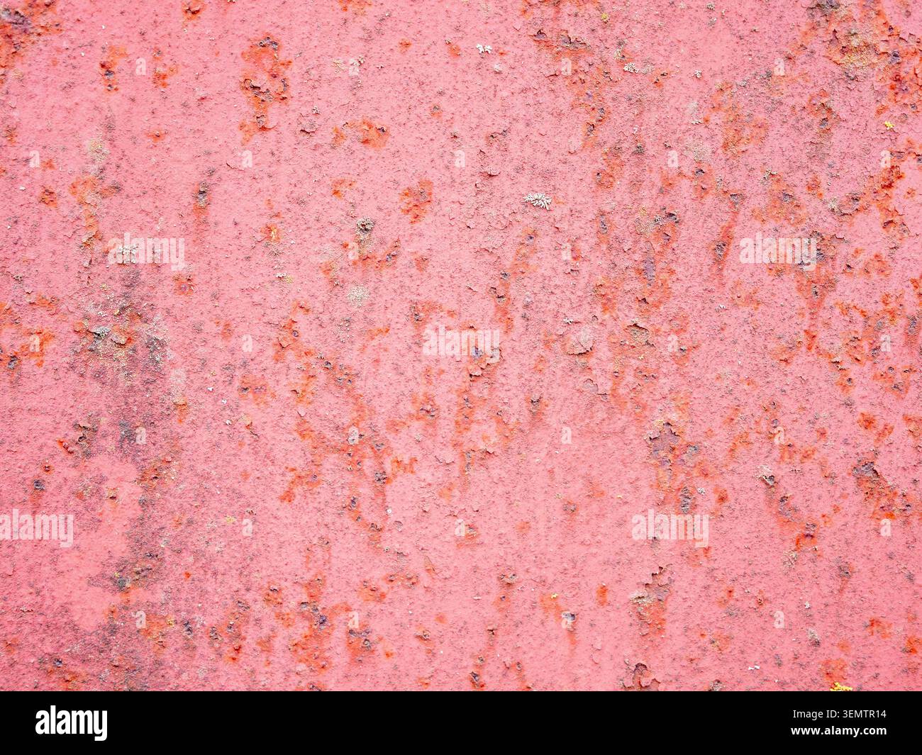 Strukturierter Hintergrund – rostige, abblätternde Oberfläche des Blechs, das mit roter Blei lackiert ist Stockfoto