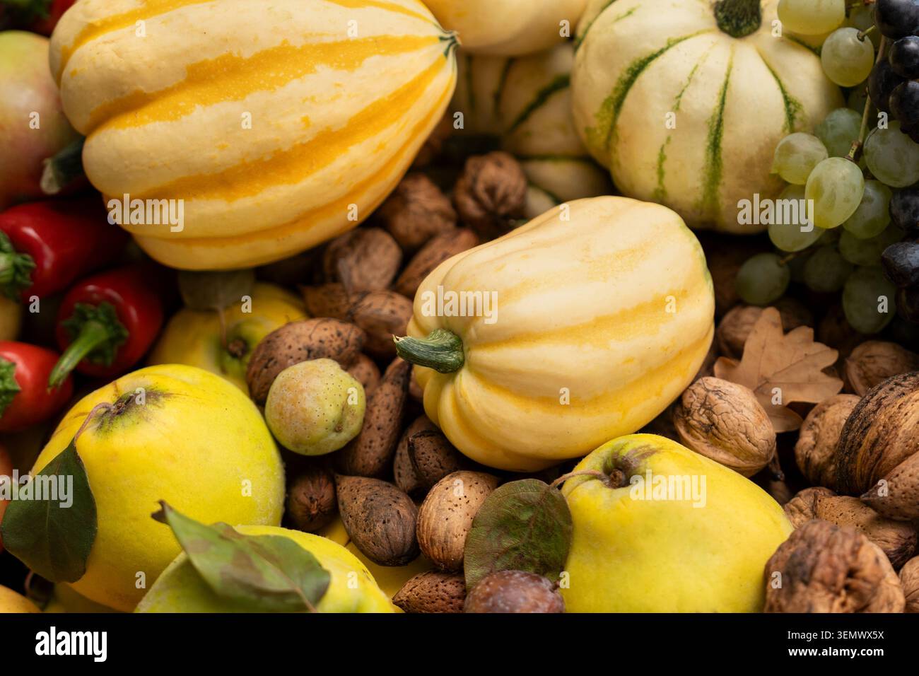 Rustikaler Herbstlese-Korb mit Zierkürzeln, frischen Trauben, Birnen, Äpfeln und Walnüssen im Freien auf herabfallenden Blättern. Lateinisches Ornamental Gou Stockfoto