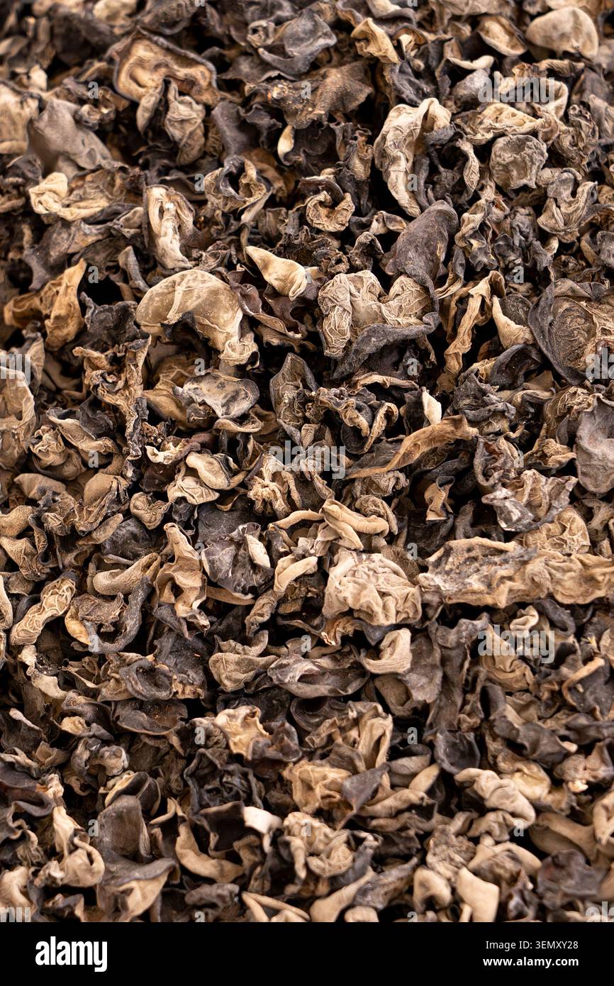 Vollbild-Hintergrundbild von Bio-getrockneten Schwarzpilzholzpilzen. Textur der kulinarischen Zutaten von oben, ideal für das Design von Speisen Stockfoto