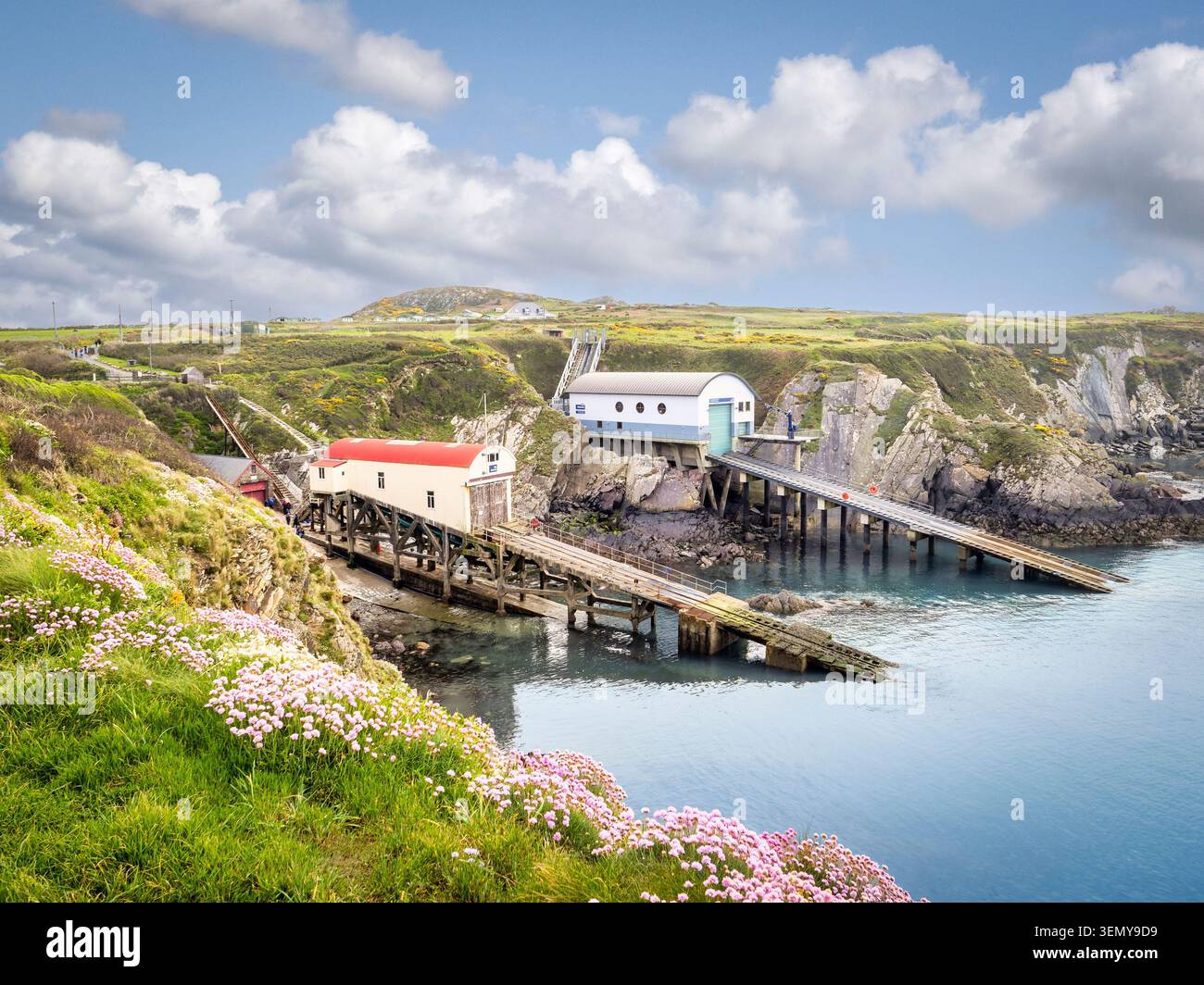St Justinian, am Wales Coast Path, Pembrokeshire, Wales, Großbritannien, die beiden Rettungsbootschuppen, Frühlingswildblumen, üppiges grünes Gras, blauer Himmel. Wunderschöne Wand Stockfoto