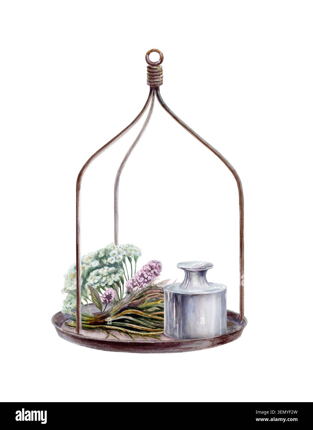 Vintage-Pfanne mit Gewicht, Schafgarbe, Minze und Süßholzwurzel Aquarell. Isolierte botanische Illustration für Retro-Pharmazie-Logo, Kräutermittel Stockfoto