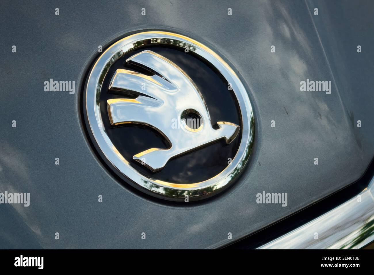Skoda-Emblem auf dem grauen Automobilaußenteil mit reflektierender Chromoberfläche. Stockfoto