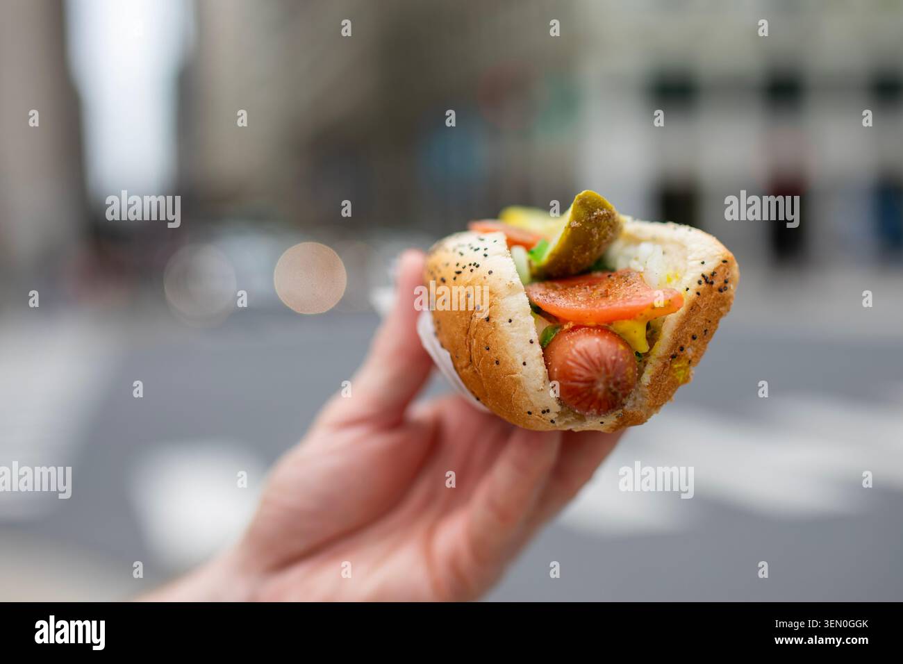 Nahaufnahme einer Hand, die einen traditionellen Hotdog im Chicago-Stil hält, auf dem Hintergrund der Stadt. Fast Food, amerikanische Küche, Street-Food-Kultur und Sommer-Lunch Stockfoto