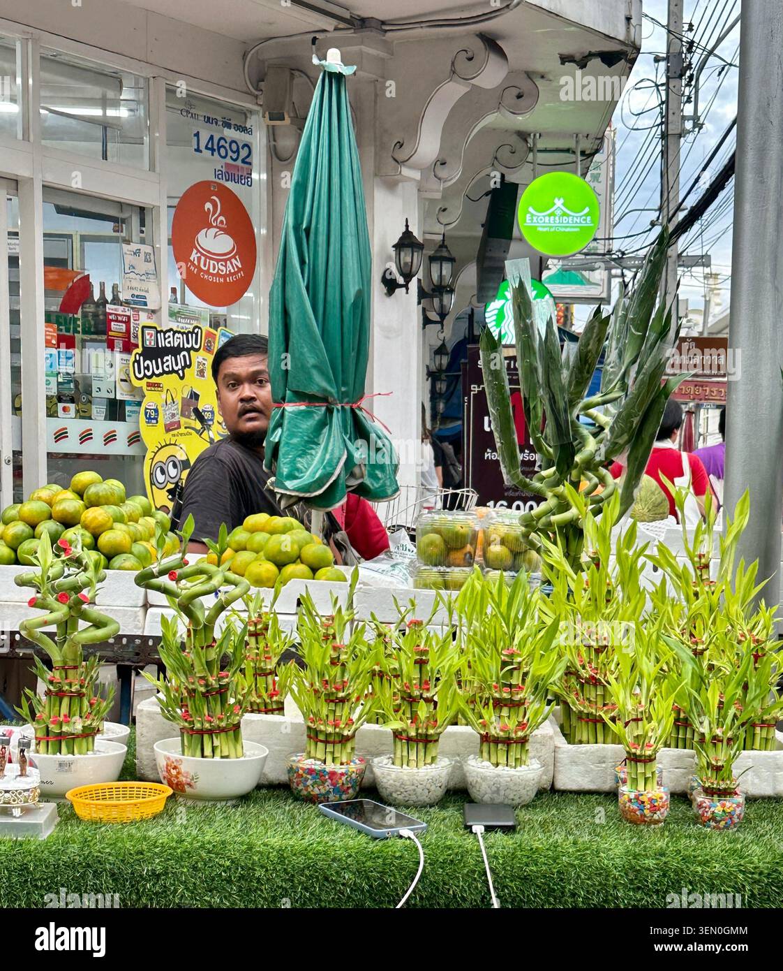 Frisch vom Wagen: ein Obsthändler pflegt seinen farbenfrohen Straßenstand mit Mangos und Glücksbambus, Bangkok, Thailand - Smartphone-aufgenommenes Stockfoto