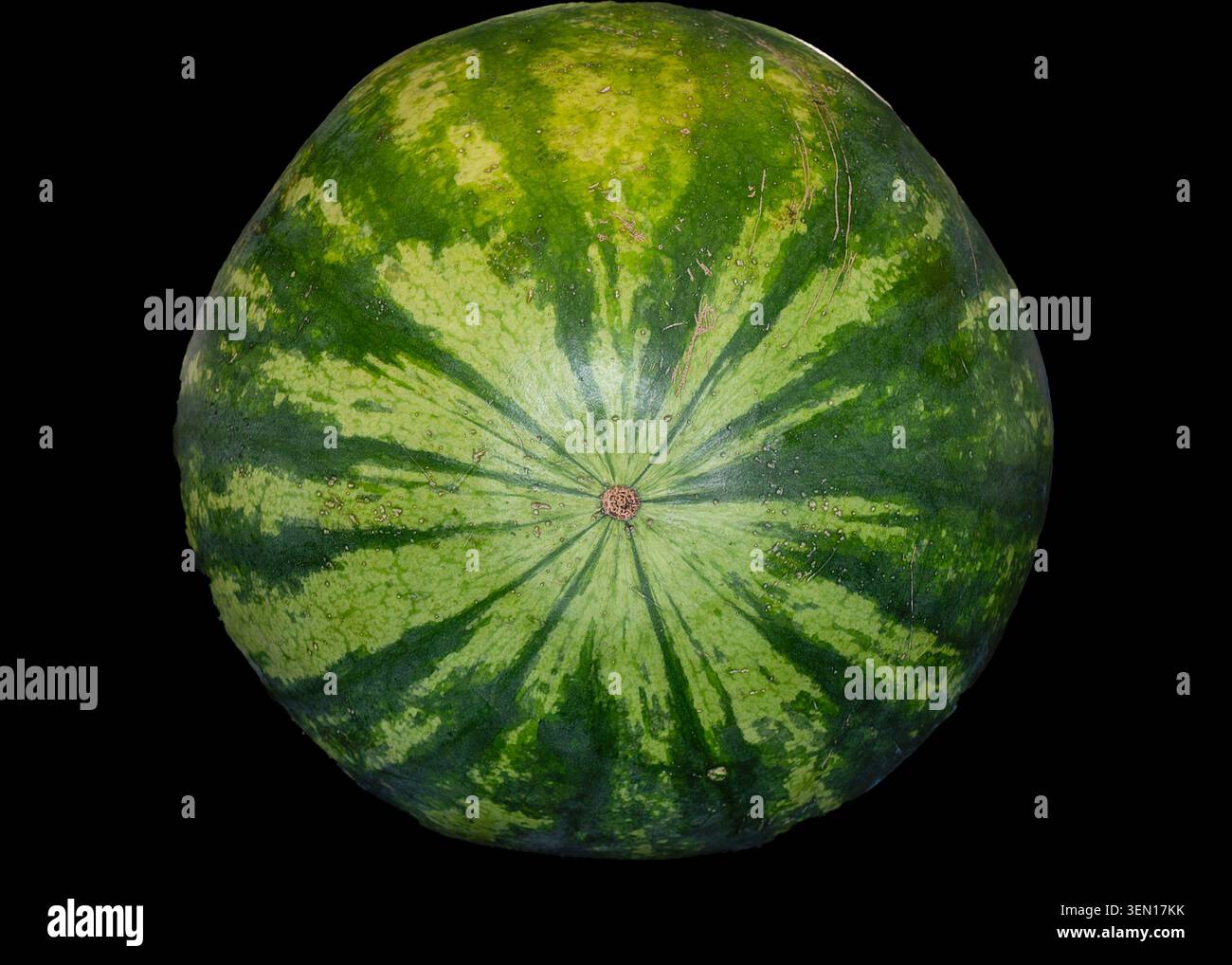 Eine Nahaufnahme einer großen Reifen Wassermelone Stockfoto