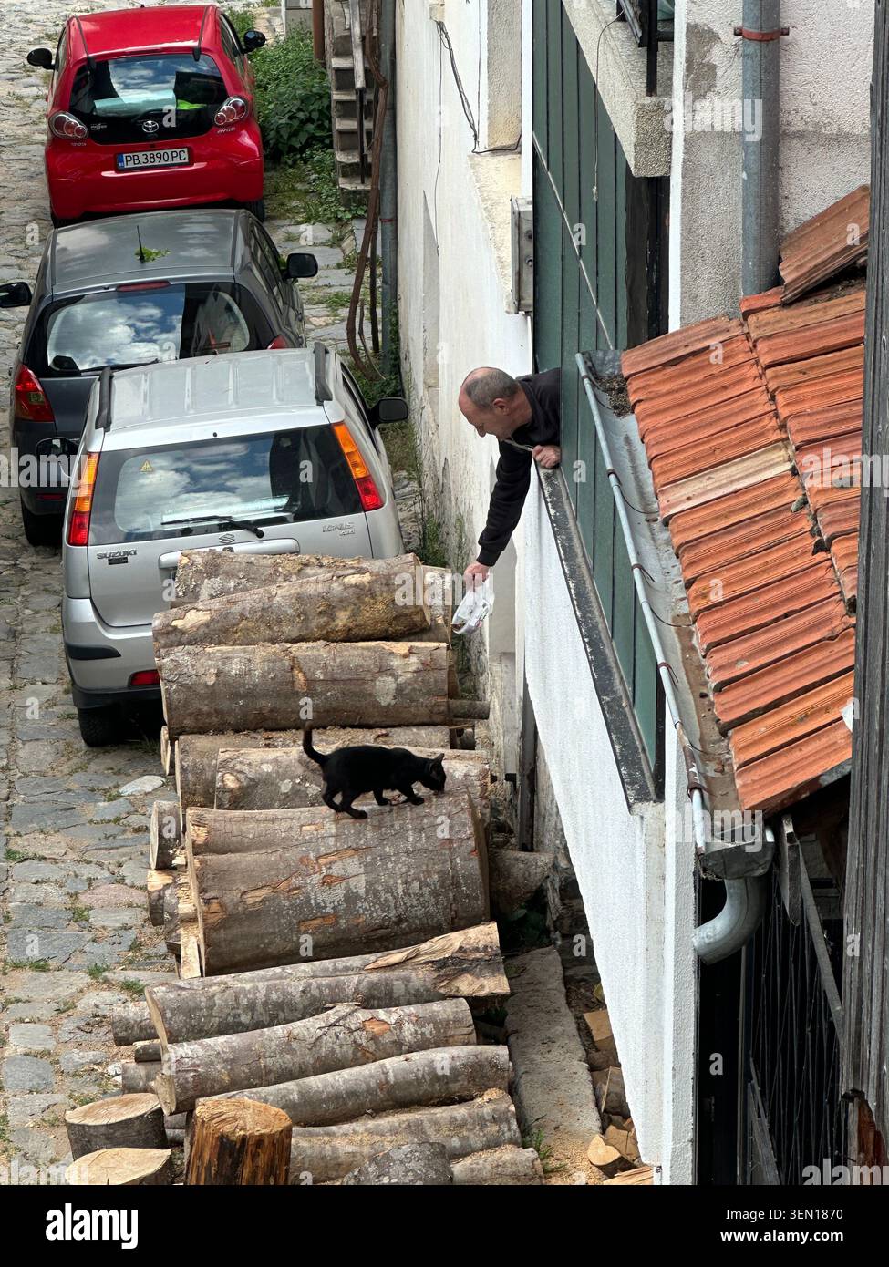 Eine schwarze Katze beansprucht ein winziges Holzfällerunterkommen, während ein Nachbar von einem Fenster über einer steilen Kopfsteinpflasterstraße greift. - Smartphone-aufgenommenes Stockfoto