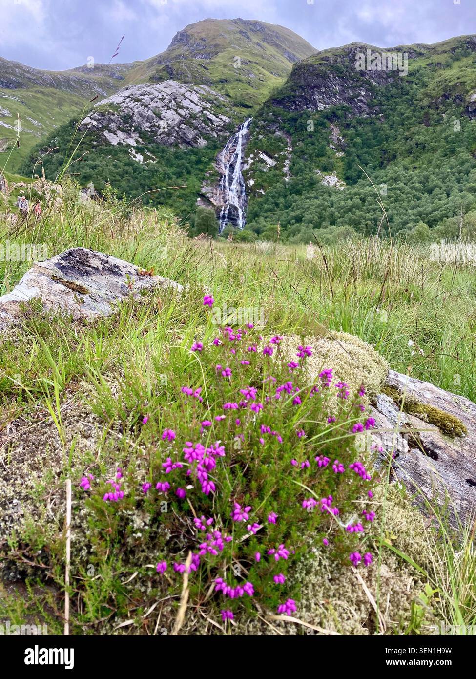 Steam Falls, Schottland Stockfoto
