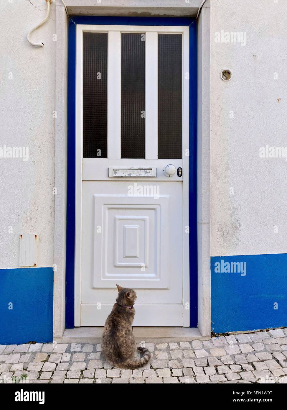 Altstadt von Ericeira, Portugal Stockfoto