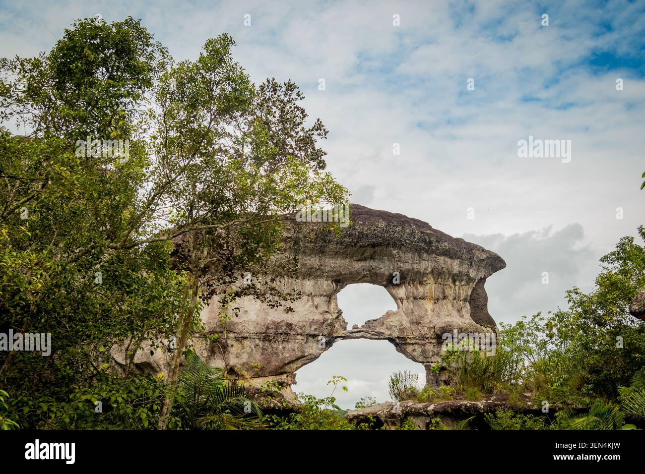 Puerta de Orión in Guaviare, Kolumbien Stockfoto