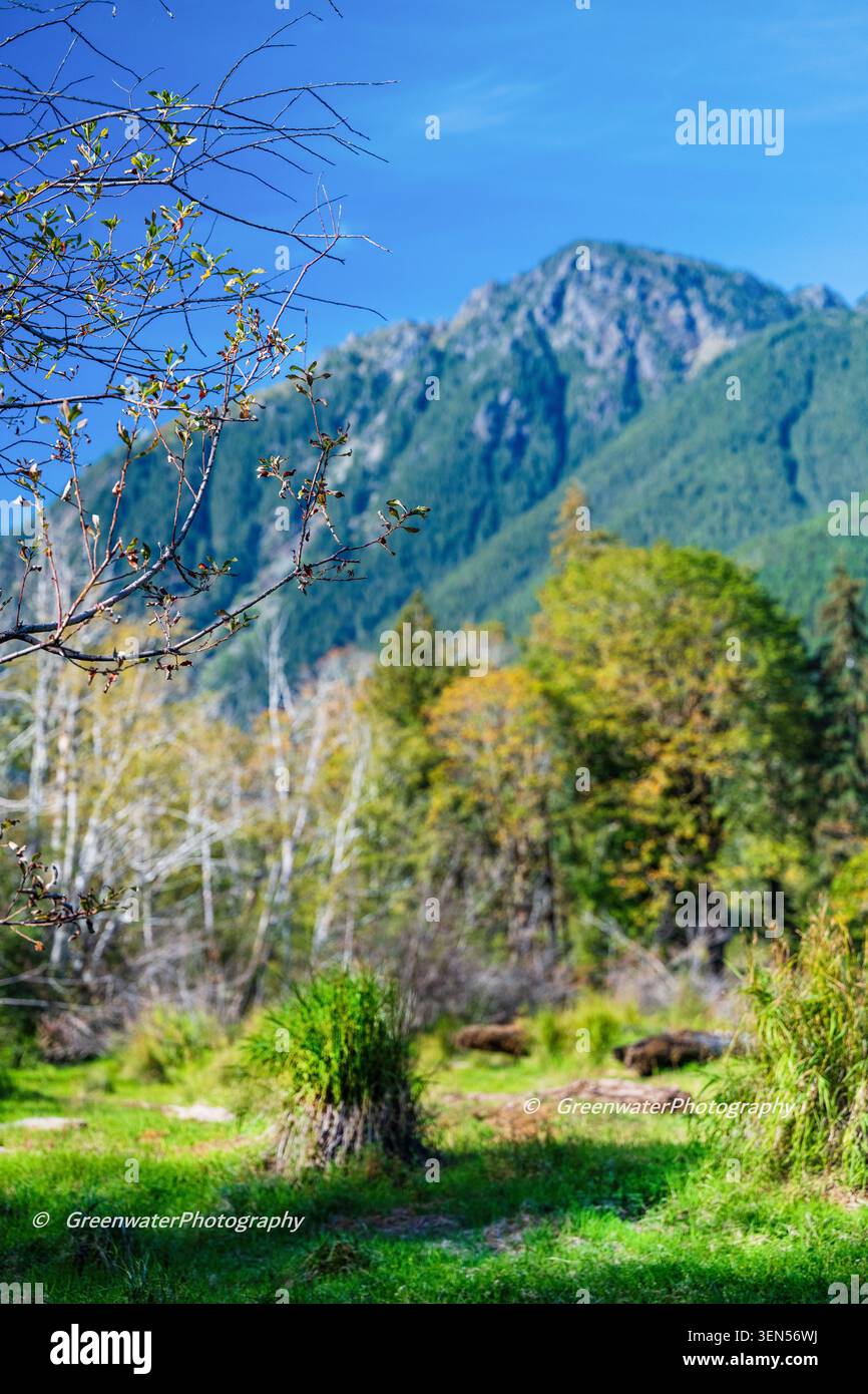 Mt. Lincoln Olympic Range PNW Stockfoto