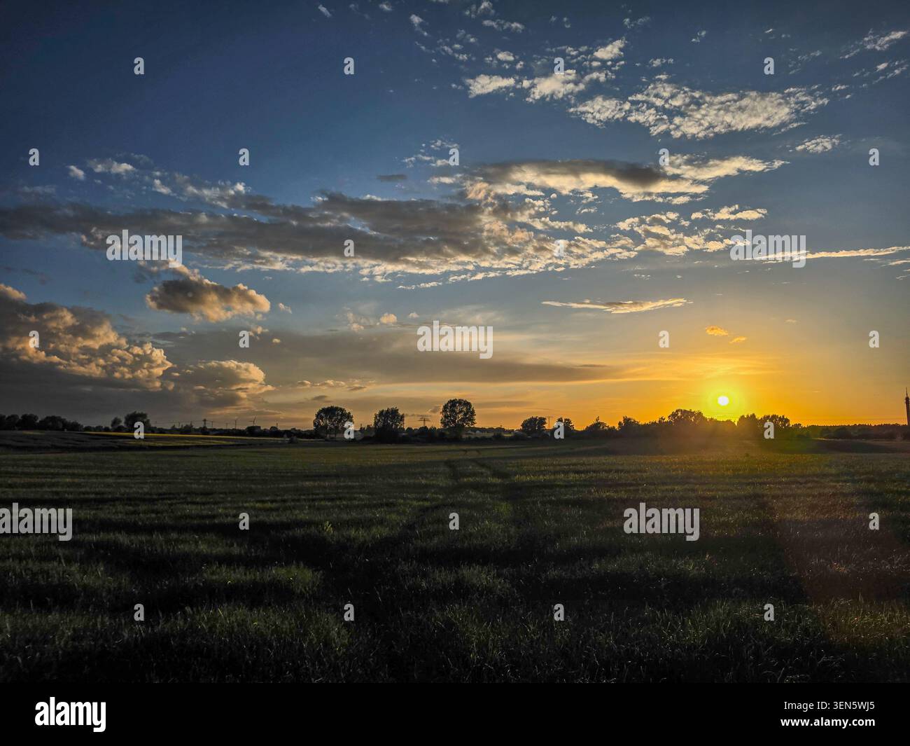 Niedrige Sonne, die über offenem Ackerland aufgeht und warmes Licht über bewirtschaftete Felder wirft. Verstreute Wolken füllen den Himmel Stockfoto