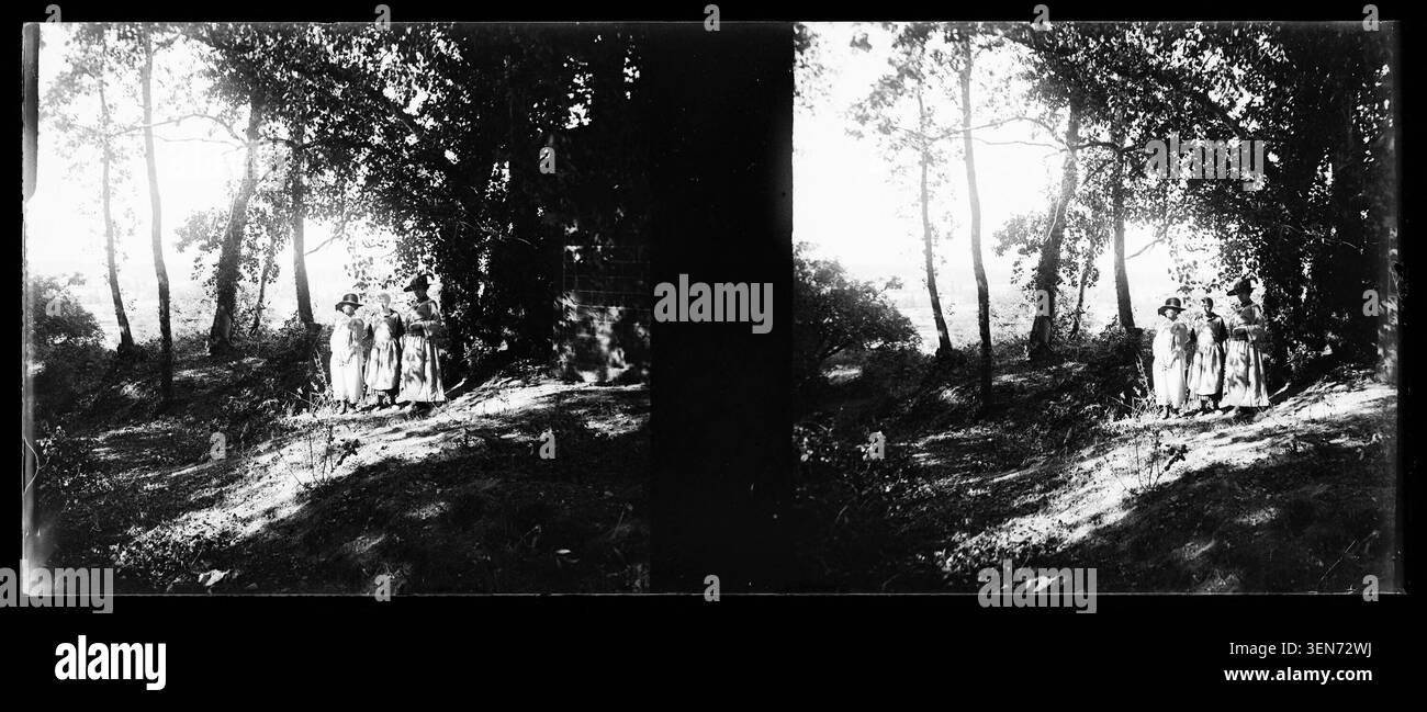 Eine Waldszene in Frankreich wurde 1890 von Olivier Bourbeau aufgenommen, in der die Regenwaldlandschaft, Flora und natürliche Umgebung mittels Pressefotografie dokumentiert wird. Stockfoto