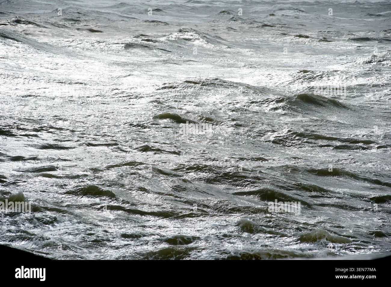 Den Haag, Süd-Holland/Niederlande - 26.02.20: Wildes Meer mit Wellen an einem stürmischen Tag Stockfoto
