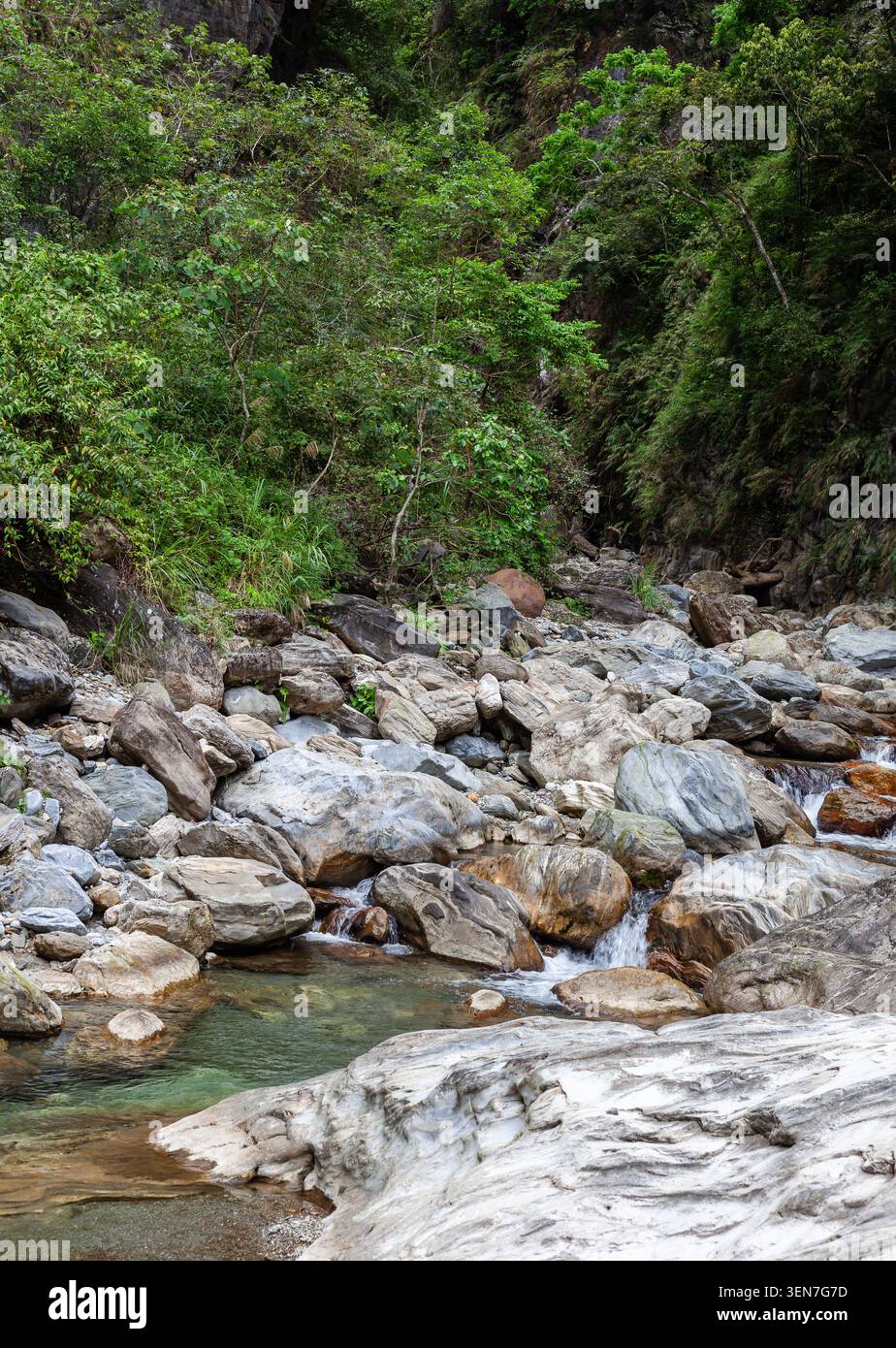 Sanzhan Creek in Hualien, Taiwan. Große graue Felsbrocken füllen das Flussbett. Klares Wasser fließt durch das Tal. Üppig grüner Wald bedeckt die Hänge. Stockfoto