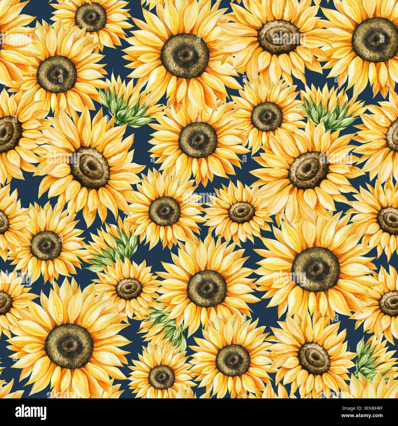Aquarellset mit hellgelben Sonnenblumen in warmen Herbsttönen. Botanische handgezeichnete Illustration isoliert auf Hintergrund. Ideal für die Saison Stockfoto
