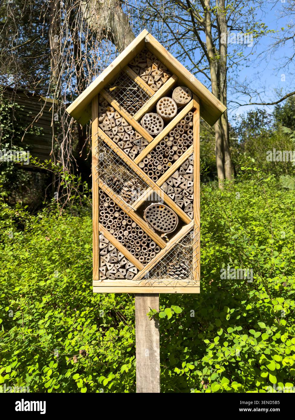 An einem sonnigen Frühlingstag steht in einem üppig grünen Garten ein Holzinsektenhaus oder Insektenhotel. Die Struktur bietet Nistmöglichkeiten und Unterschlupf für einsame b Stockfoto