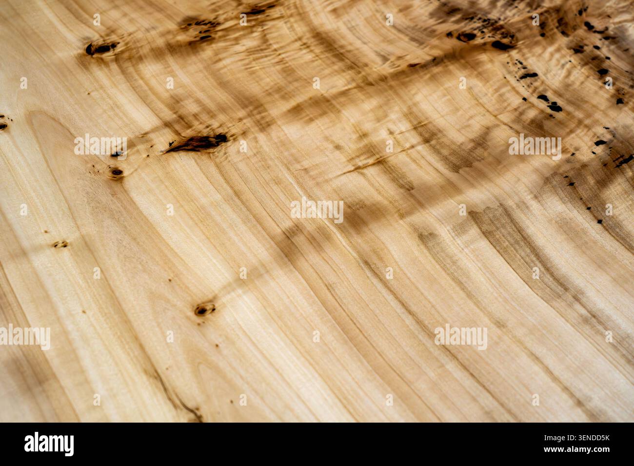 Natürliche helle Holzstruktur mit eleganten Maserungen und Knoten, hochwertiger Hartholzhintergrund für Möbel und Innenarchitektur Stockfoto