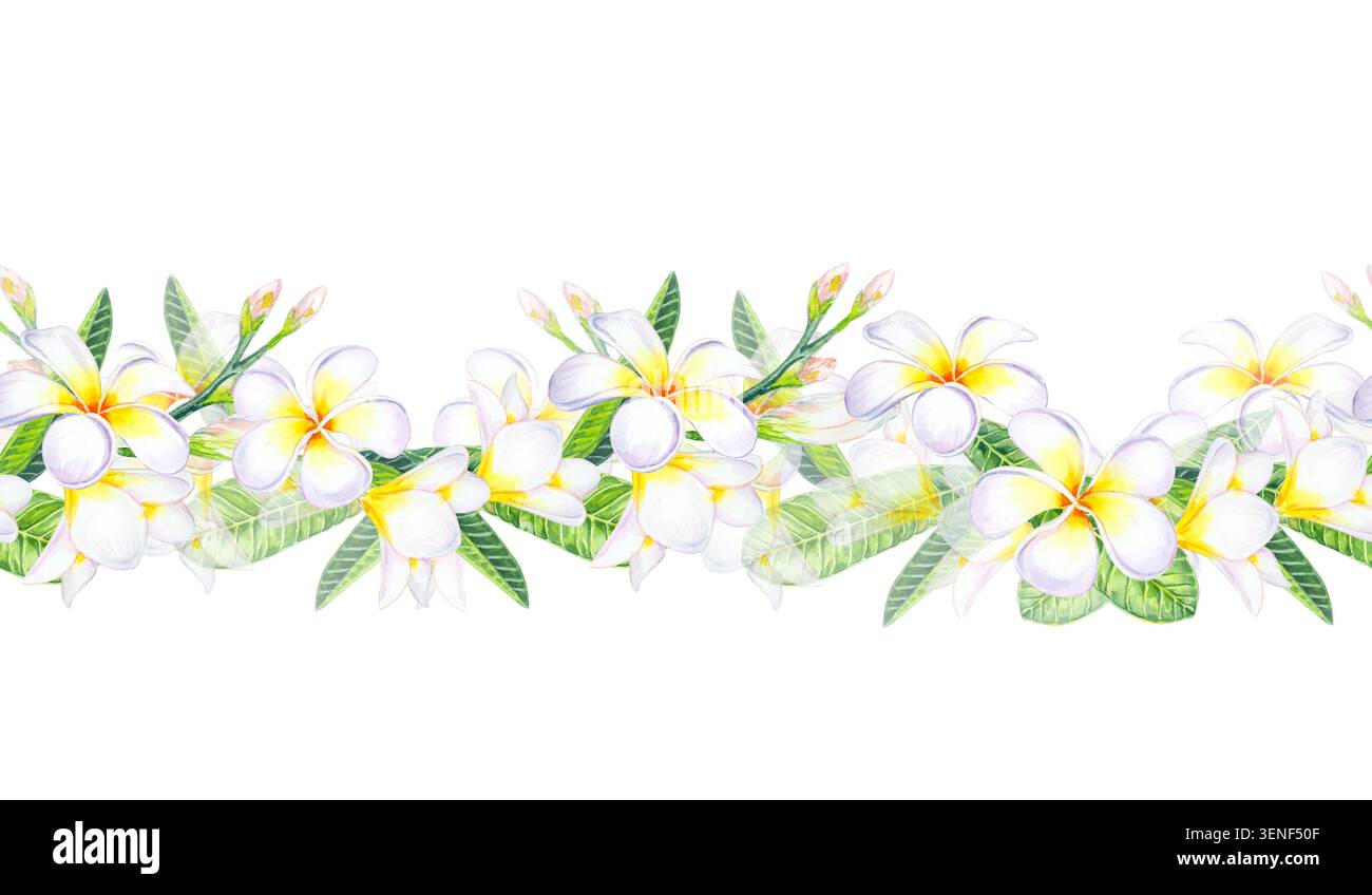 Nahtlose Borte mit tropisch grünen Blättern und zarten Knospen in Aquarellfarben. Isolierte handgezeichnete Aquarellillustration. Stockfoto