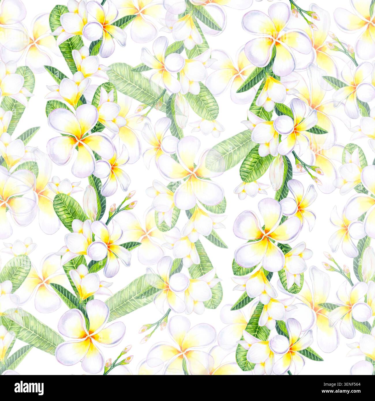 Nahtloses Muster der Plumeria frangipani-Blüte in Aquarellfarben mit üppigen tropisch grünen Blättern und Knospen. Isolierte handgezeichnete Aquarellillustration für Exoti Stockfoto