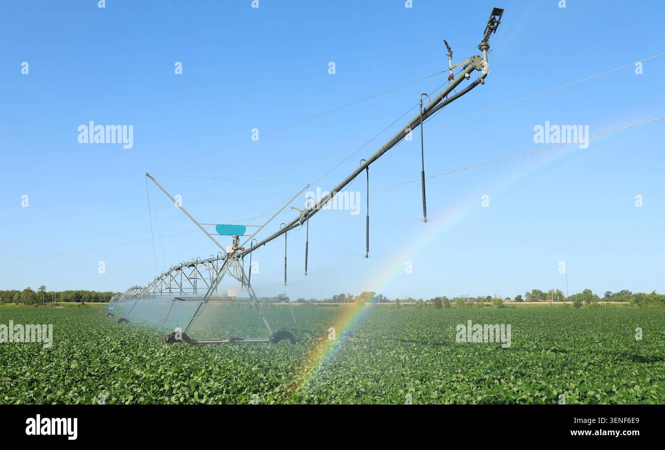 Das zentrale Pivot-Bewässerungssystem bei der Bewässerung eines Sojabohnenfeldes. Regenbogeneffekt durch Tropfen Stockfoto