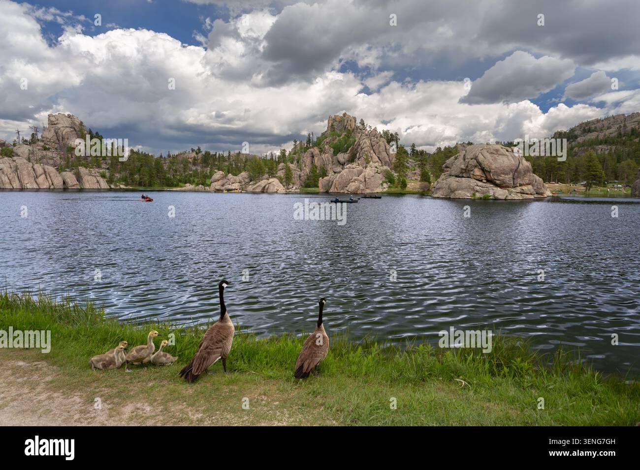 Ein horizontales Landschaftsfoto, das die Landschaftsszene im Westen der USA hervorhebt. Weitwinkelansicht unter Wolken am Sylvan Lake Stockfoto