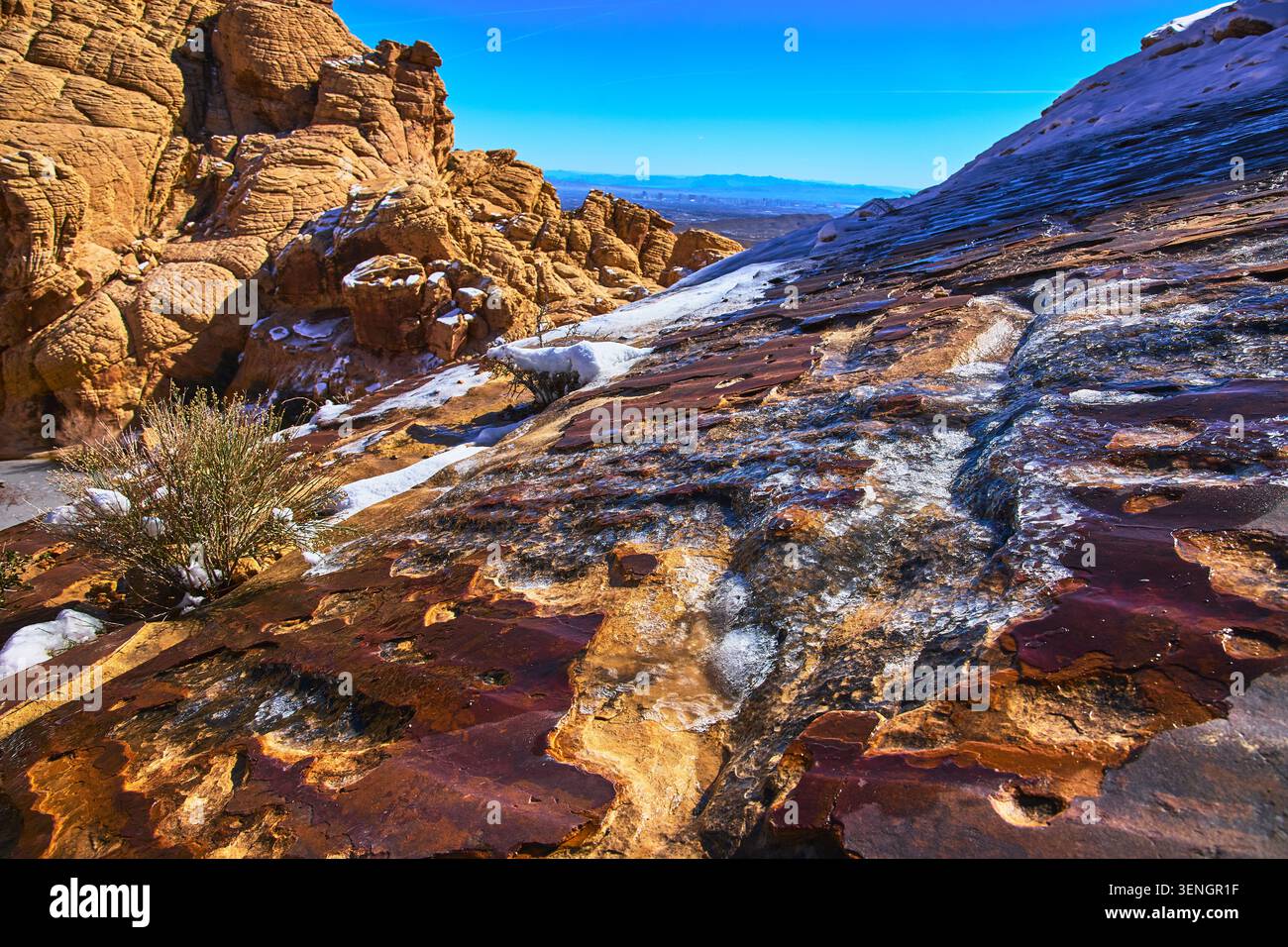 Red Rock Canyon Schnee und Eis auf Sandstein mit Wüstenvegetation Winterlandschaft Stockfoto