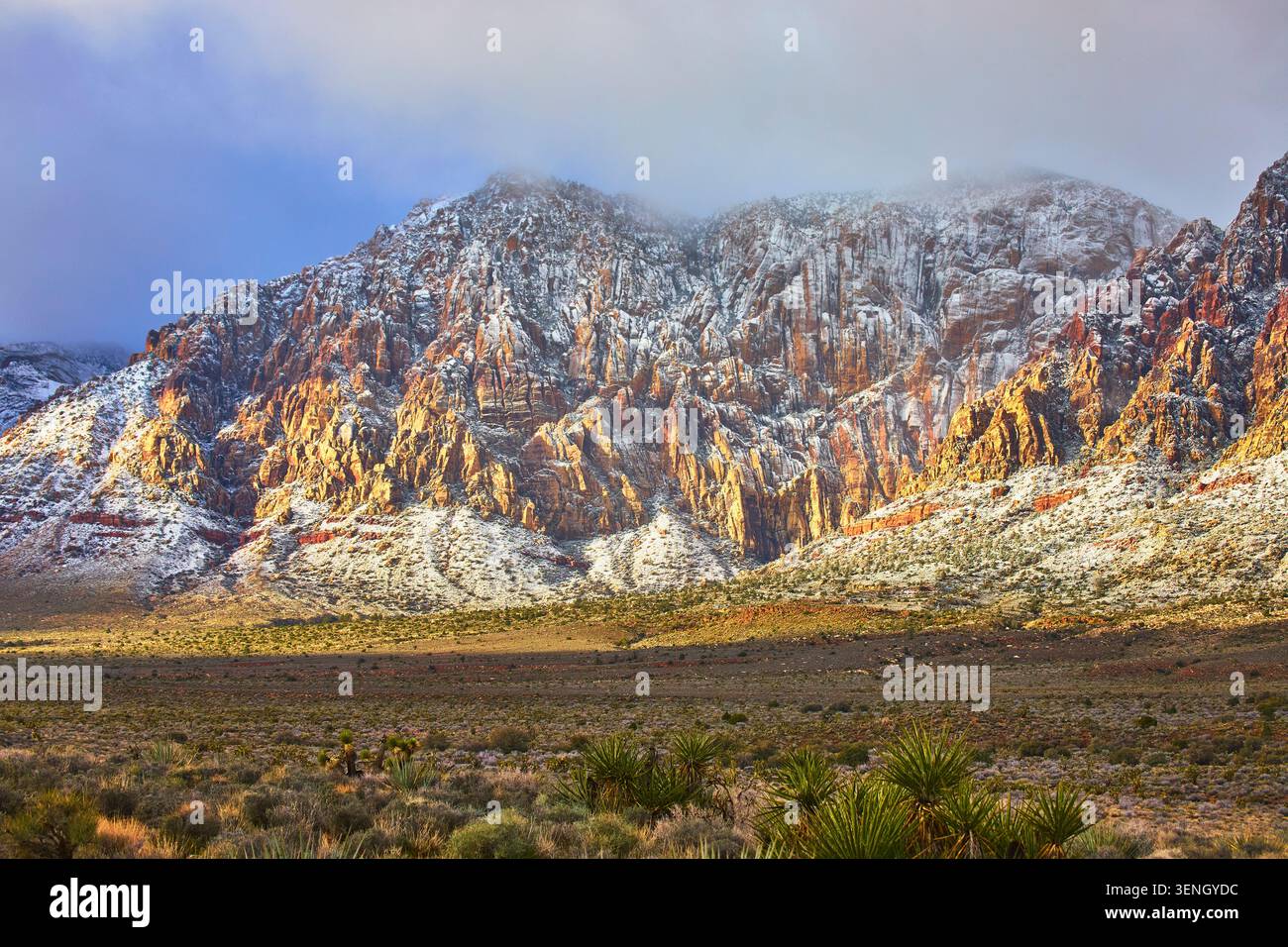 Schneebedeckte Red Rock Canyon Mountains mit Wüstenvegetation Nevada Stockfoto