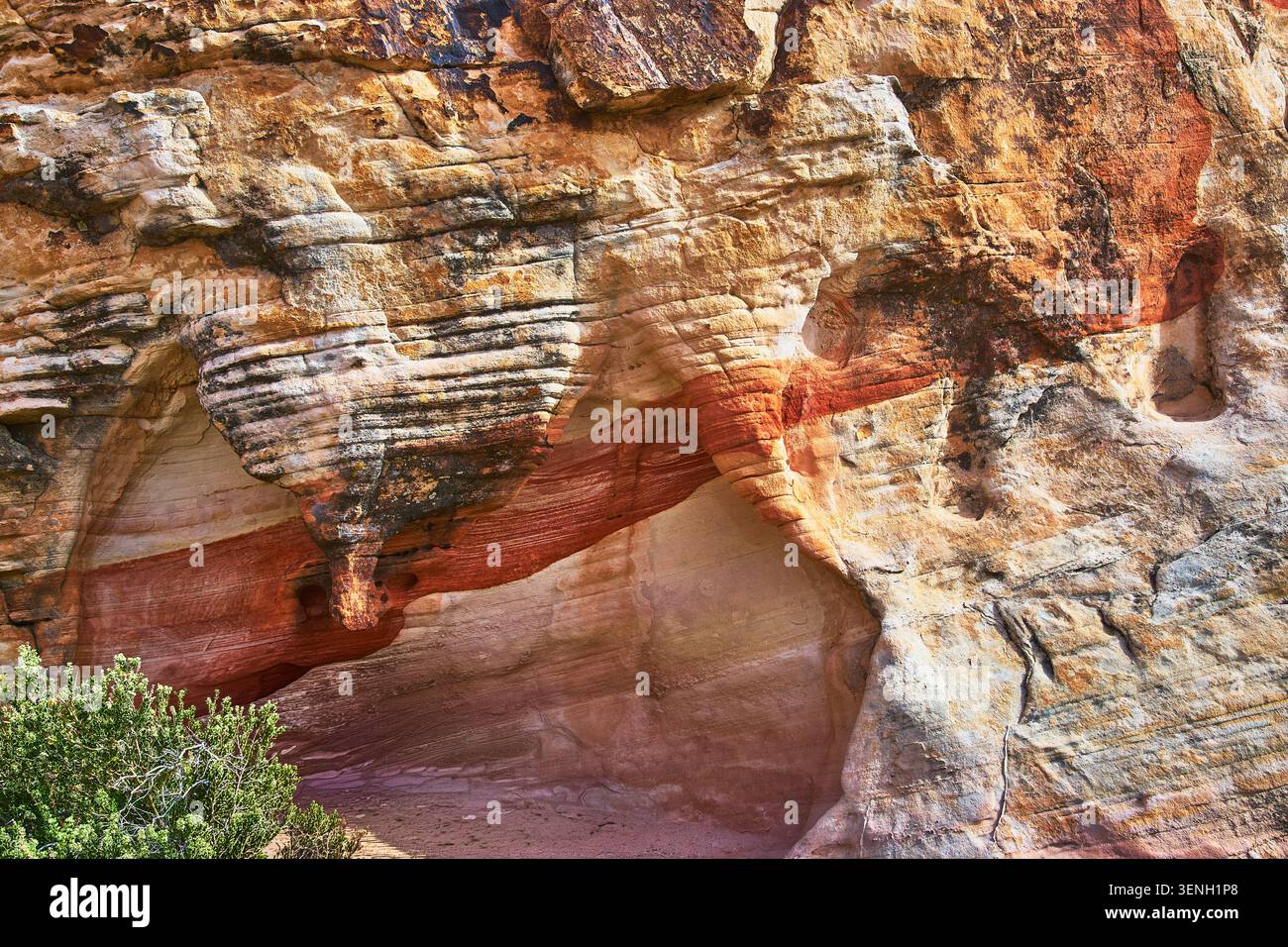Sandstone Rock Formation Rote Streifen und Erosion Muster Wüstenvegetation Stockfoto