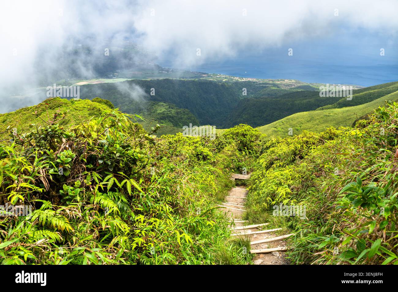 Malerischer Blick auf den Wanderweg auf dem Vulkan Mount Pelee mit üppigen grünen Hängen und dem Meer unter Wolken in Martinique, Karibik Frankreich Stockfoto