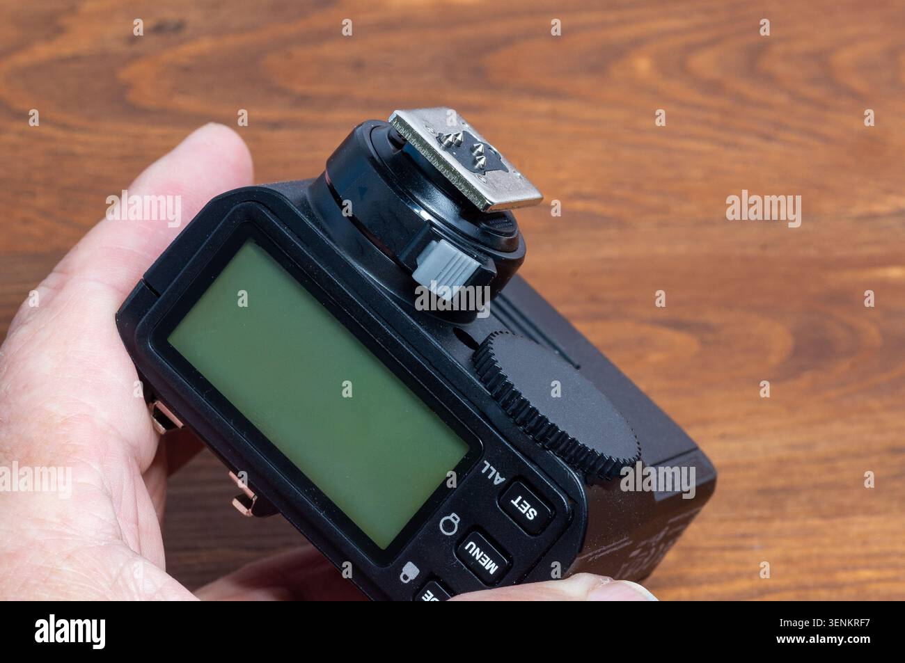 Halten Sie einen Blitzauslöser der Kamera in der Hand. Stockfoto