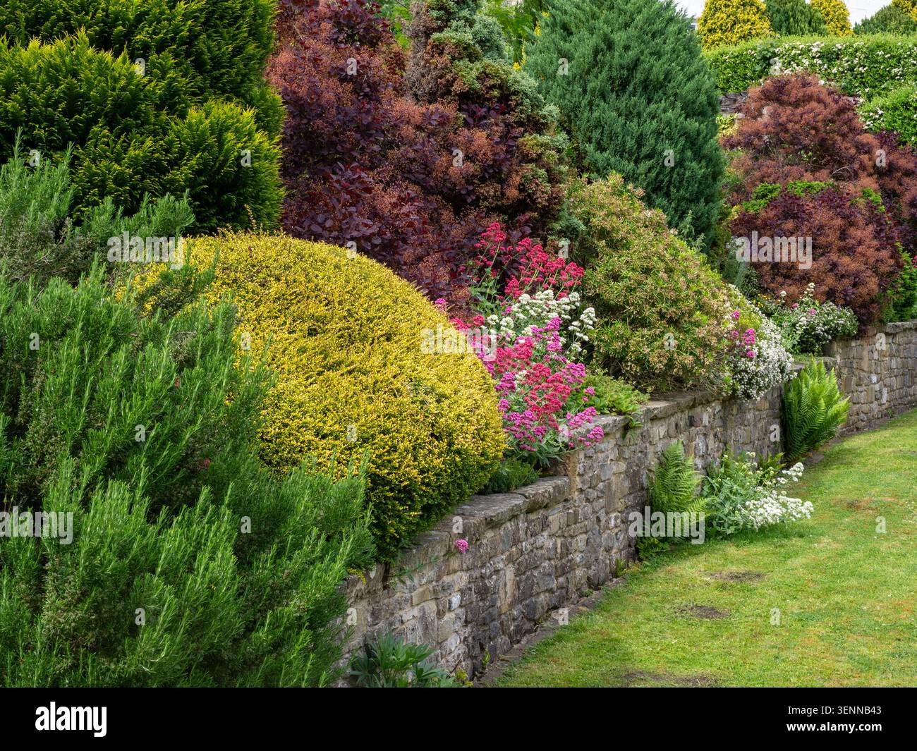 Bunte gemischte Gartengrenze im Sommer, Cressbrook Mill, Derbyshire, Großbritannien Stockfoto