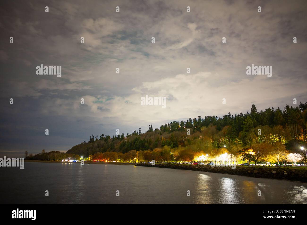 Seattle Washington Golden Gardens Park Bei Nacht Stockfoto