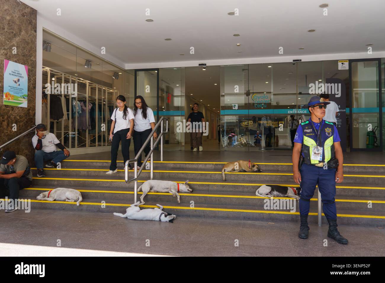 Mehrere streunende Hunde schlafen friedlich auf den Eingangspunkten des Ayala Center Cebu, während ein Sicherheitsbeamter in der Nähe von Cebu City im Dienst steht. Stockfoto
