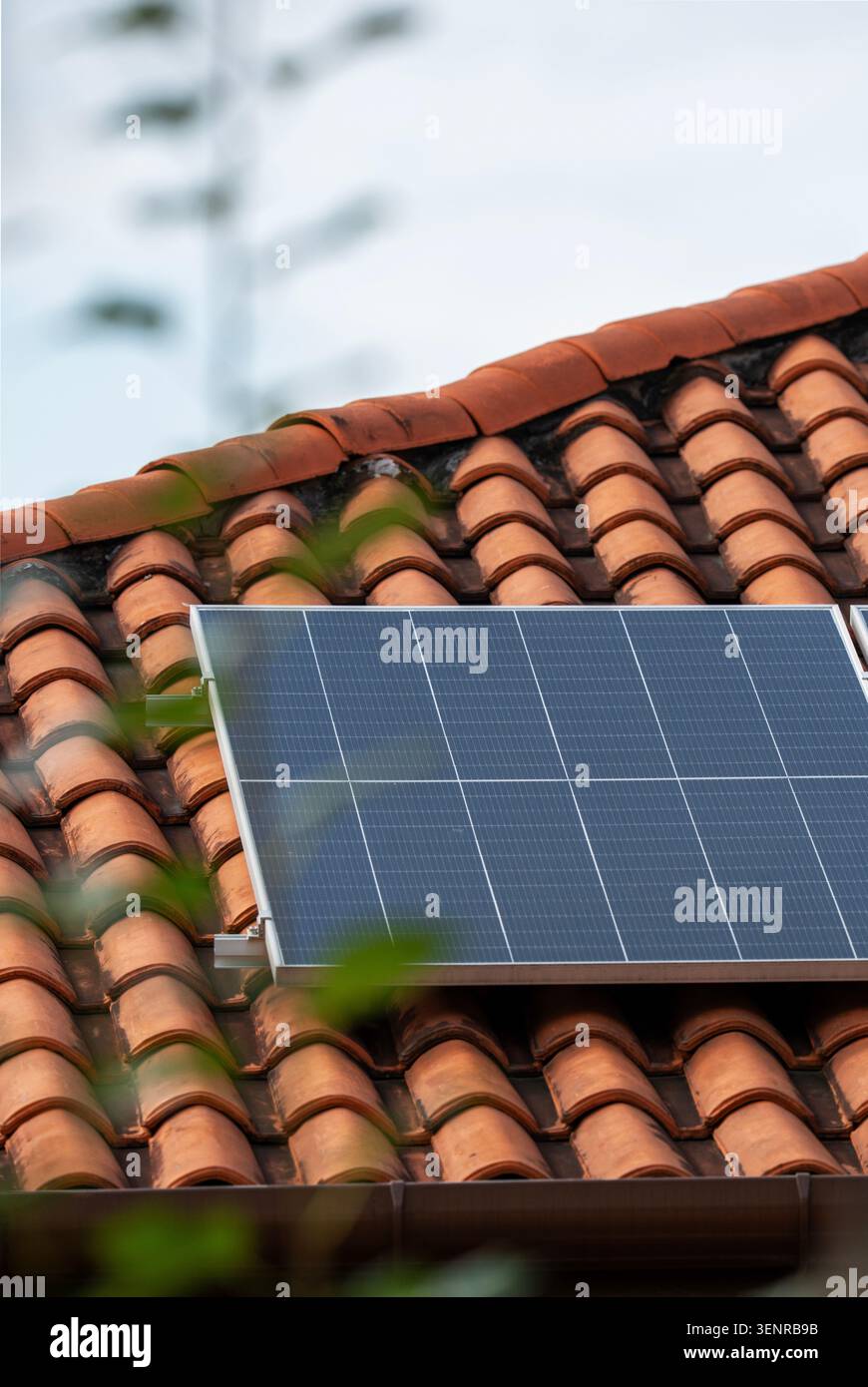Vertikale Nahaufnahme eines modernen Photovoltaik-Sonnenkollektors auf einem geschwungenen Dach aus Terrakottafliesen, das von einem sanften grünen Laub im Vordergrund eingerahmt wird. Stockfoto
