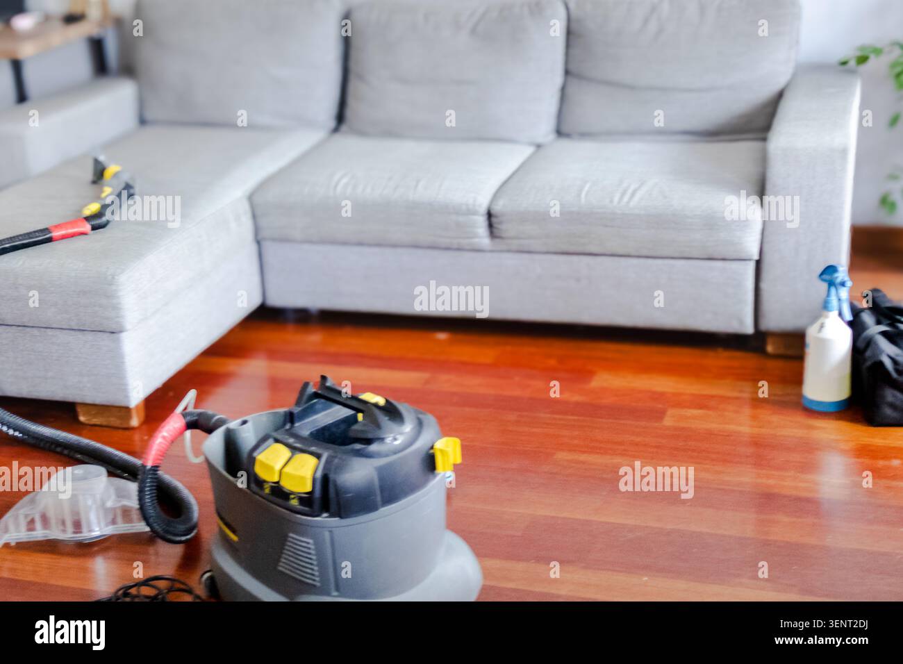 Großer Blick auf die Polsterreinigungsmaschine neben dem Stoffsofa im modernen Apartment. Professionelle Reinigung der Liege, Tiefenreinigung im Frühjahr, Fleckenpflege Stockfoto