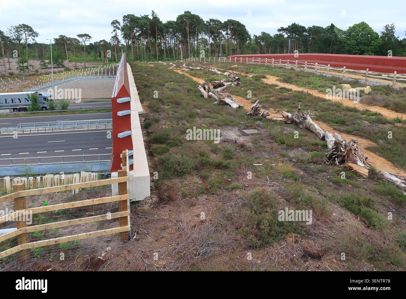 Cockrow Bridge, Surrey, Großbritannien. Eine grüne, heidländische Brücke über die A3 bietet eine Verbindung zwischen Wisley und Ockham Commons. Eröffnung Mai 2026 Stockfoto