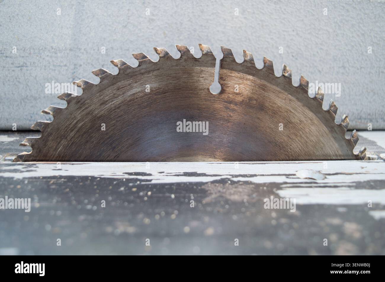 Kreissägeblatt mit scharfen Zähnen. Geräte zum Sägen von Brennholz im Haushalt. Nahaufnahme. Selektiver Fokus, künstliches Rauschen. Stockfoto