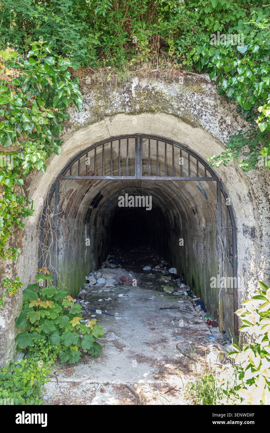 Alter verlassener Tunneleingang mit Metalltor umgeben von grünem Efeu und Vegetation in Cetinje, Montenegro - 20. Juni 2021 Stockfoto