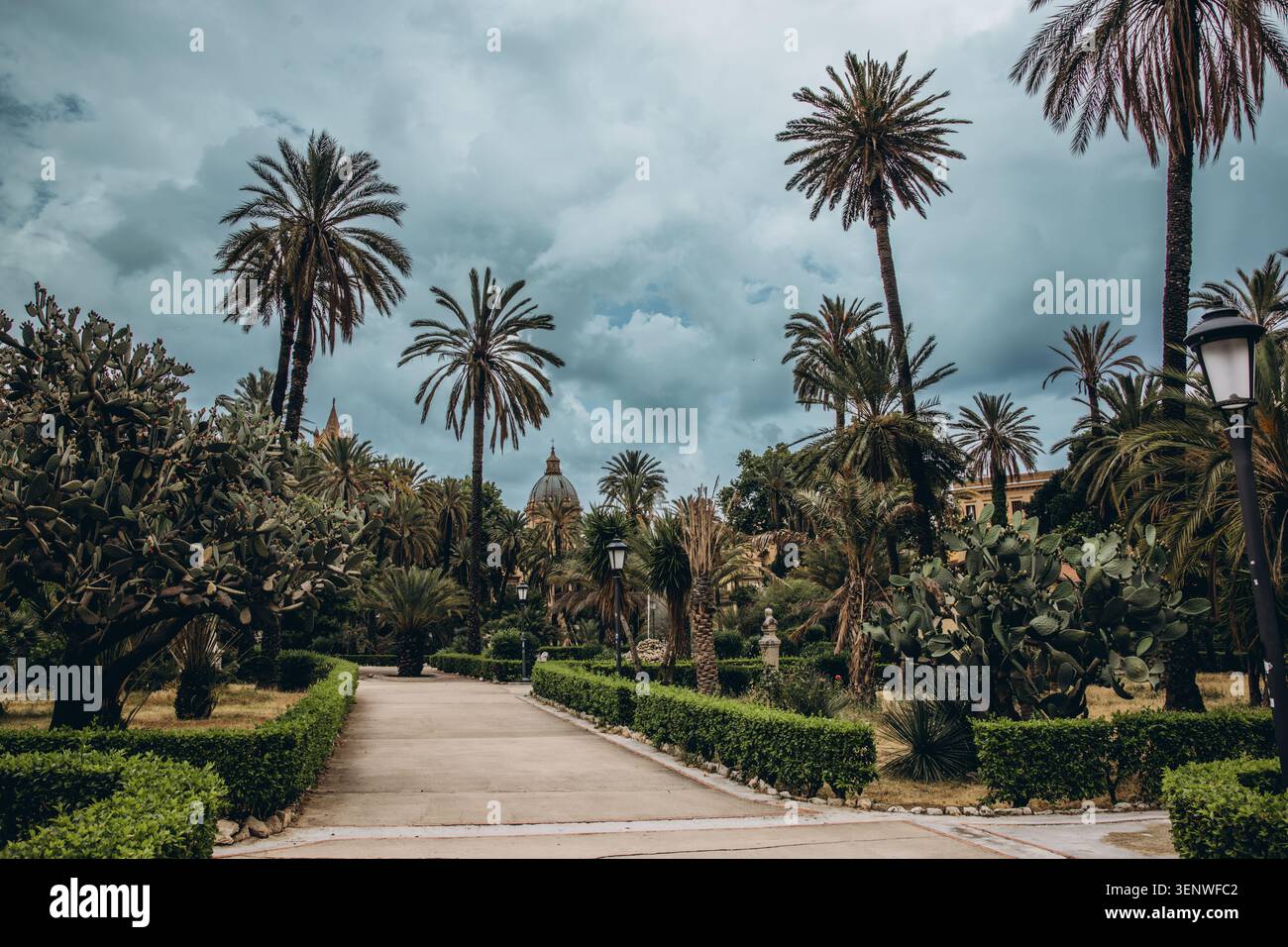 Malerischer Weg durch einen tropischen öffentlichen Garten mit hohen Dattelpalmen, getrimmten Hecken und Kakteen unter einem dramatischen bewölkten Himmel in einer mediterranen Stadt in Stockfoto