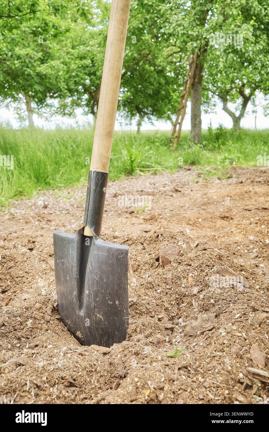 Eine Schaufel, die im Garten mit Sägemehl bedeckt ist. Stockfoto