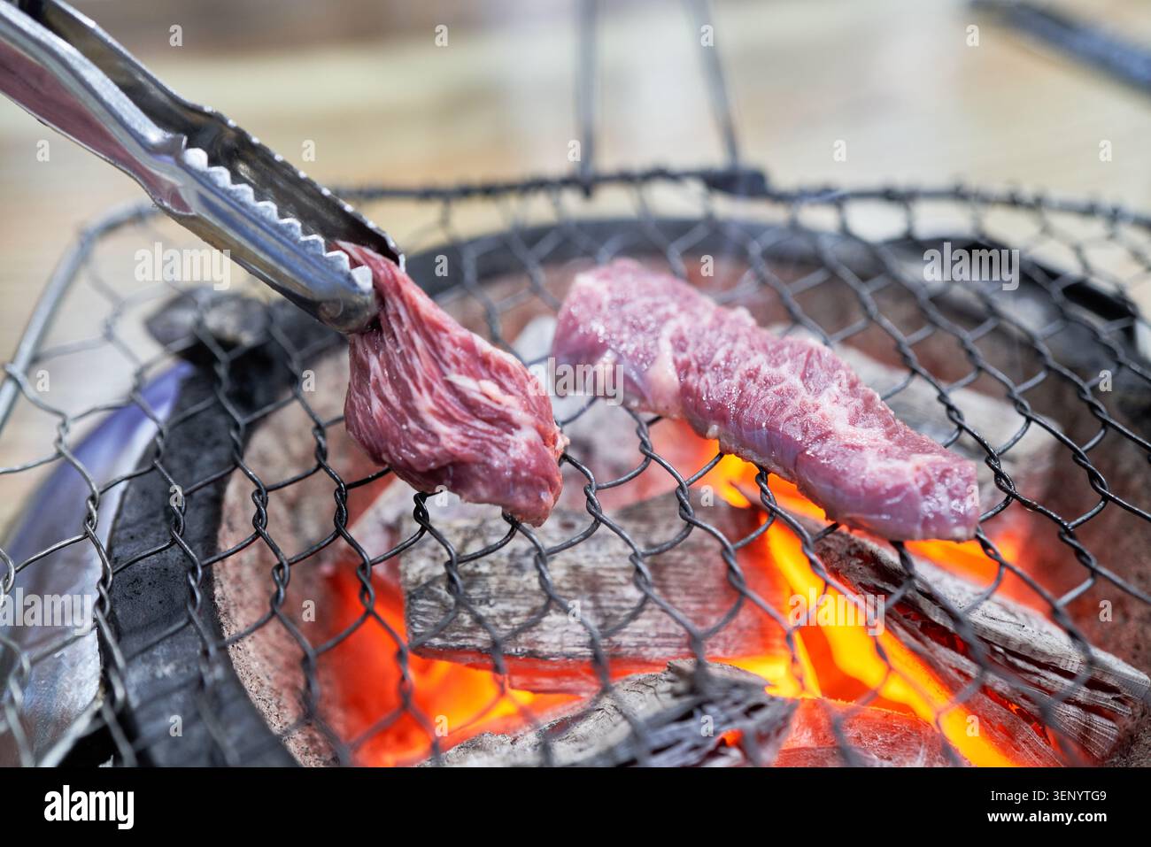 Hochwertiges rohes marmoriertes Rindfleisch wird mit einer Zange auf ein Metallgitter über glühender roter Holzkohle gelegt, das ein authentisches asiatisches Grillerlebnis bietet Stockfoto