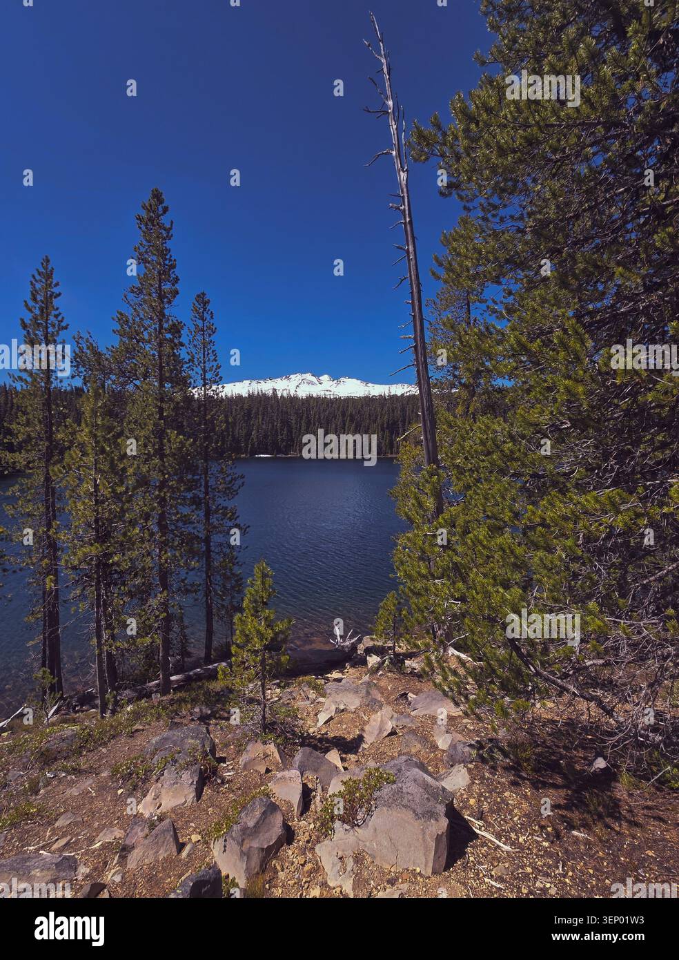 Eine Rocky Ridge Vista mit seiner sonnigen Alpenküste mit Blick auf Yuran Lake und Diamond Peak Stockfoto