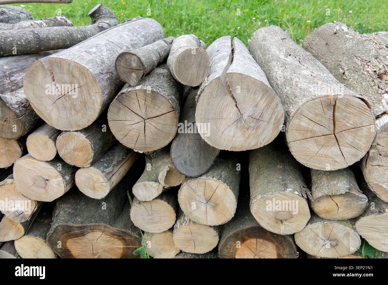 Gestapelte Brennholzstämme aus Hartholz Stockfoto