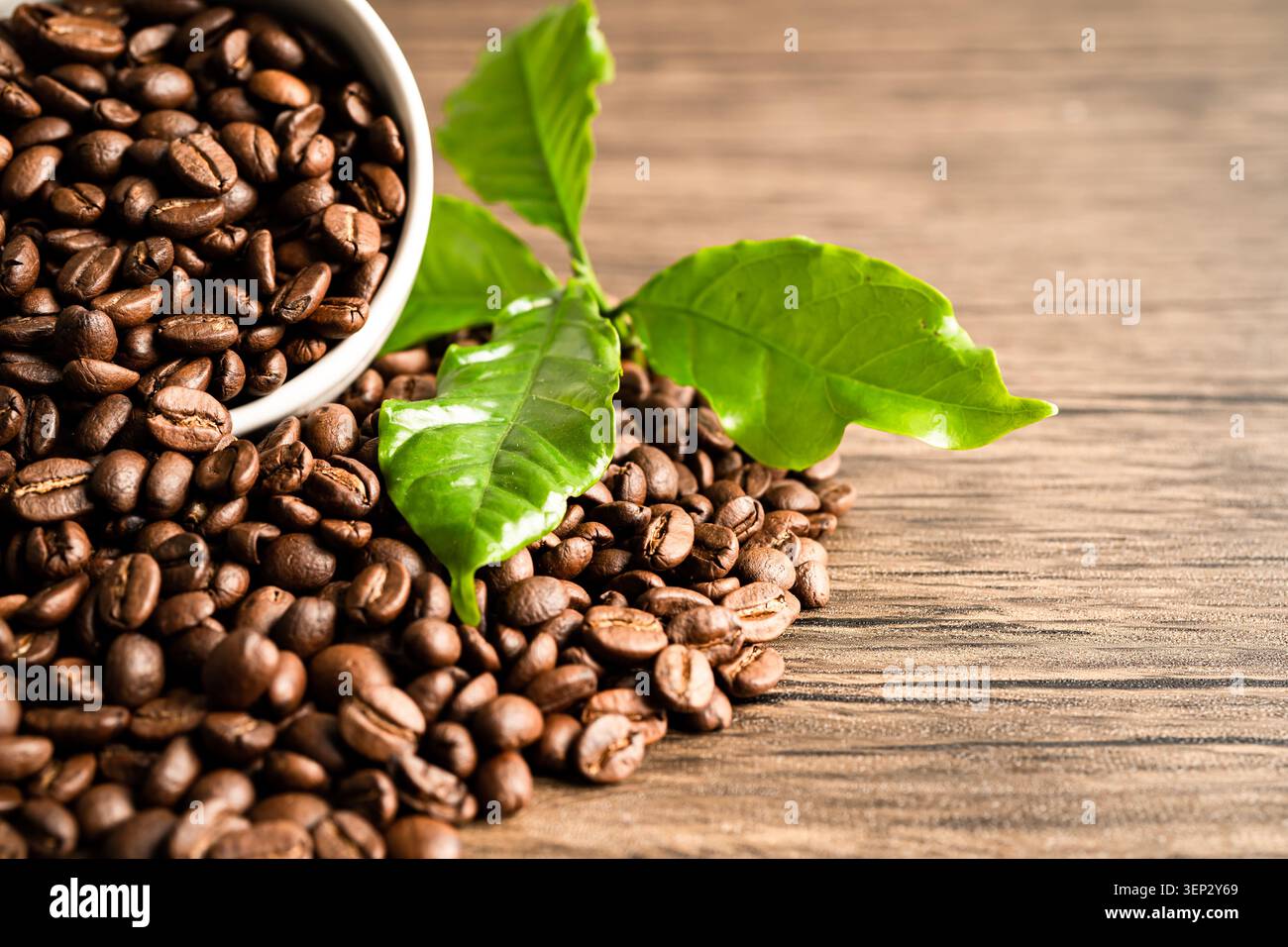 Kaffee braune Bohne Medium geröstet mit frischem grünen Blatt. Stockfoto