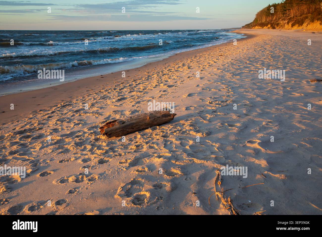 Dramatische Klippe am Strand in Dziwnowek, Polen, bei Sonnenuntergang Stockfoto