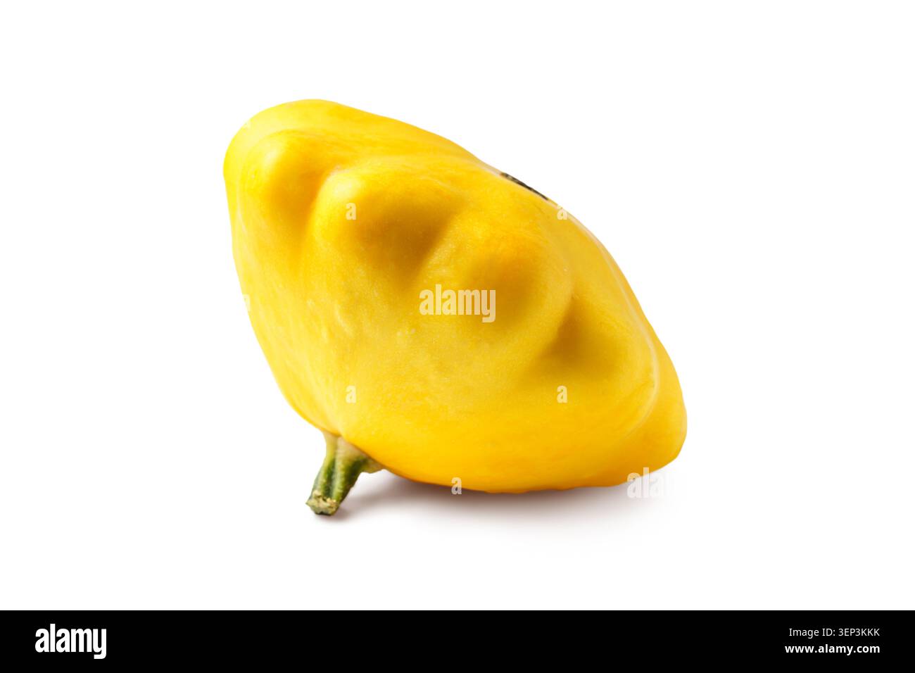 Frischer gelber Pattypan, Patisson Squash isoliert auf weißem Hintergrund. Nahaufnahme von Sommergemüse mit gewellter Form und lebhaften Farben. Ernte Stockfoto
