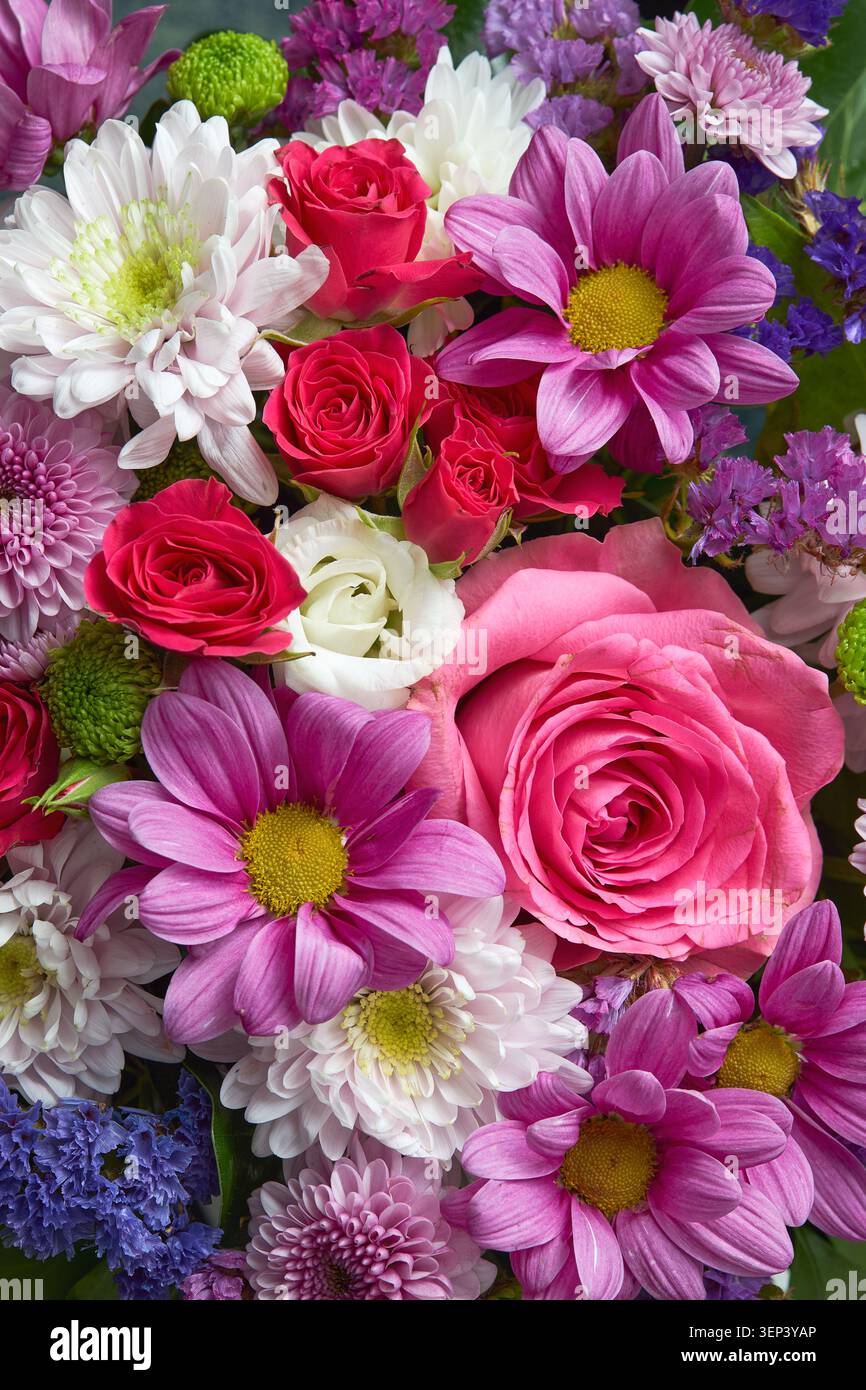 Aus nächster Nähe sehen Sie ein lebhaftes Blumenarrangement mit rosa Rosen, Dahlien, Chrysanthemen und weißen Blumen. Stockfoto