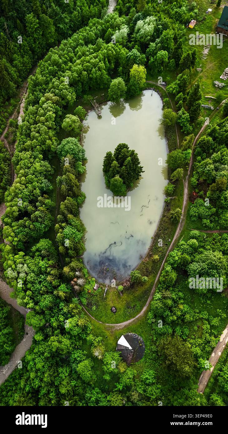 Vertikale Drohnenaufnahme eines ovalen Waldteichs, der eine Miniatur-Kieferninsel umgibt. Fußwege und üppige Bäume umrahmen milchiges Wasser als ruhigen Abend Stockfoto